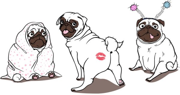 Мопсы рисунки смешные