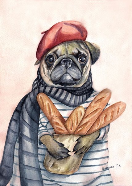 Иллюстрации Татьяна Пловецкая собака