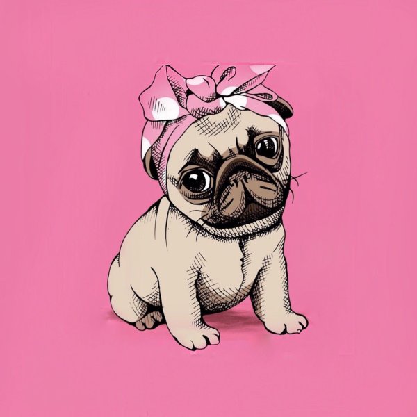 Мультяшные мопсы