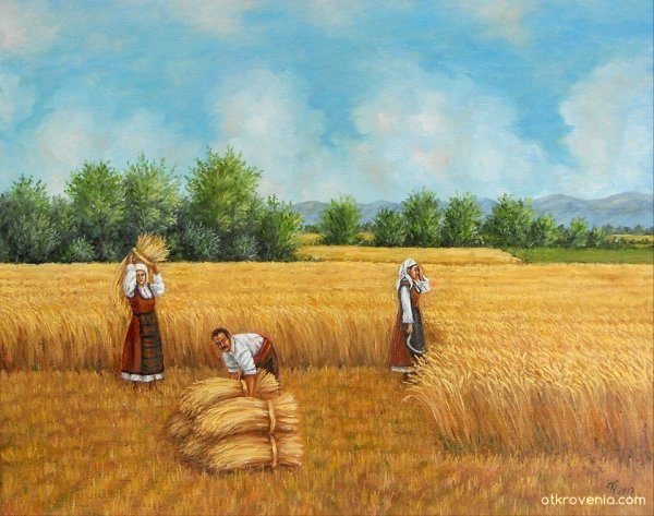 Уборка хлеба в старину