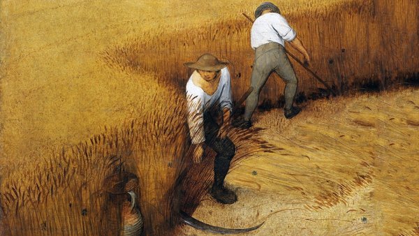 Жатва Чак Смит