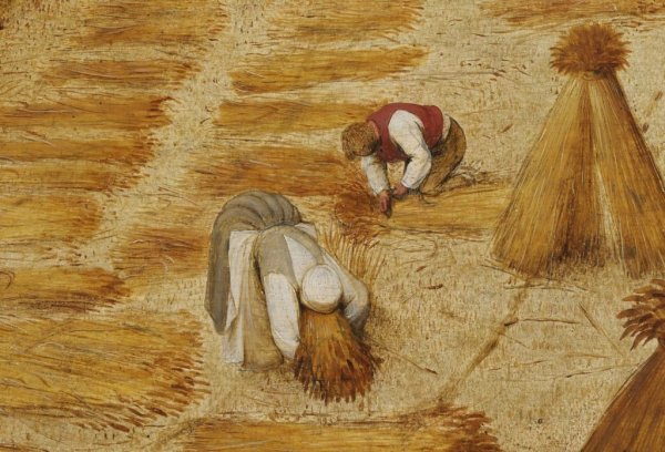 Питер брейгель старший жатва 1565