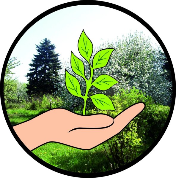 Будь природе другом рисунок