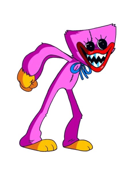 Ваги ваги киси МИСИ