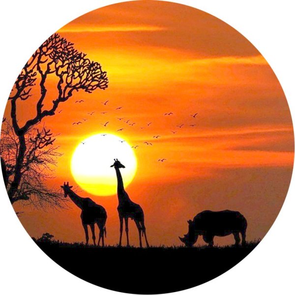 Круглые рисунки