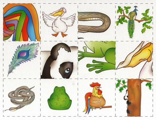 Игра Крылья, лапы, хвосты