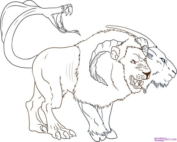 Химера раскраска