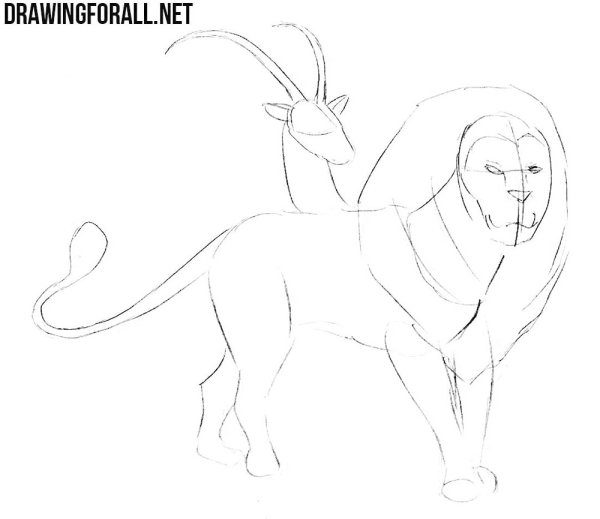 Химера рисунок для срисовки