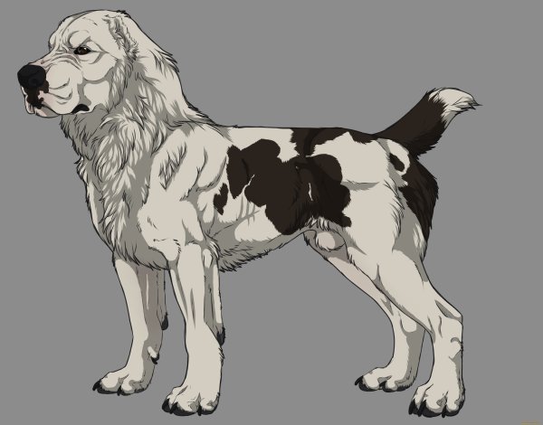 Алабай вектор