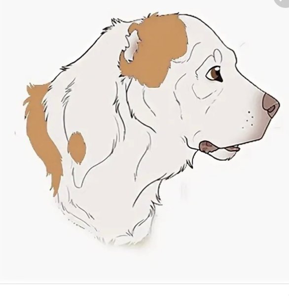 Алабай нарисовать