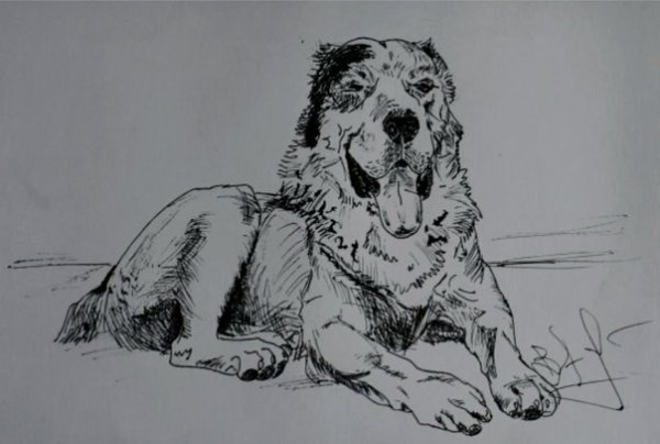 Алабай логотип