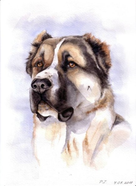 Алабай карандашом