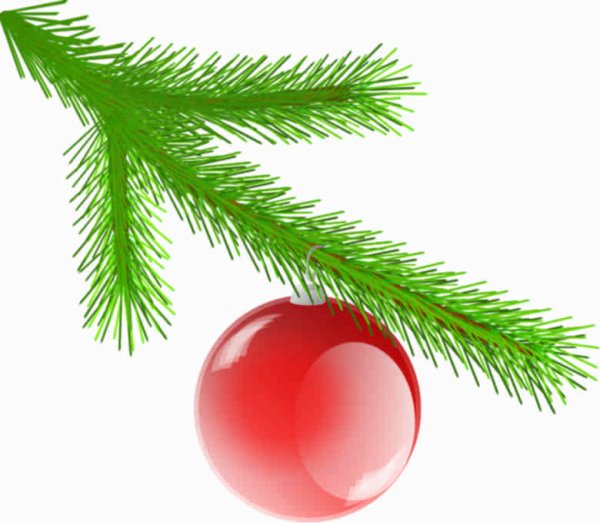 Еловая веточка