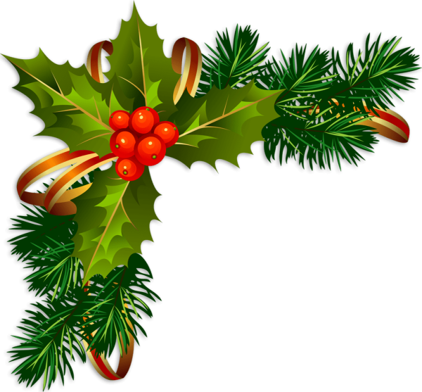 Ветка елки сбоку