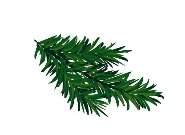 Еловая веточка