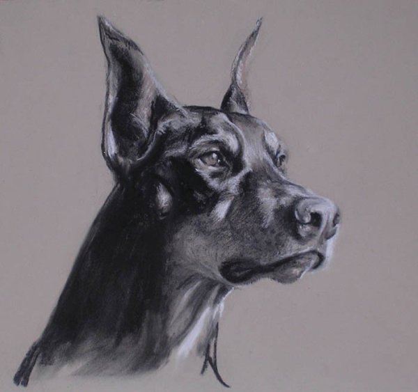 Потомок Джима Абрамов