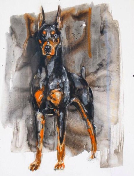 Доберман собака искусство