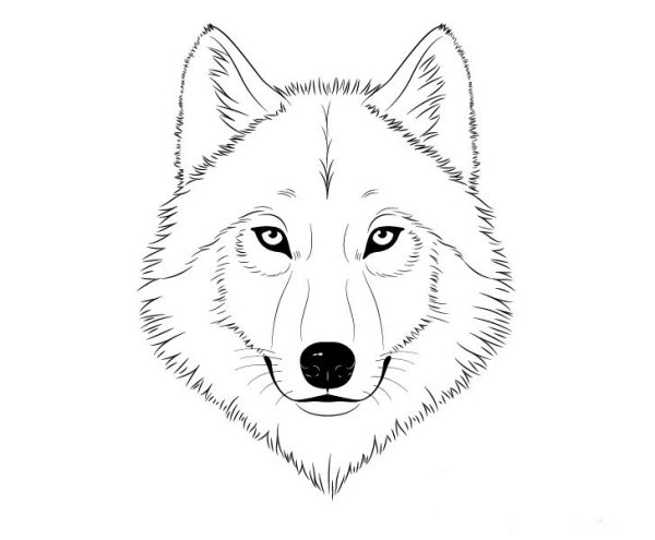 Волк рисунок карандашом для детей