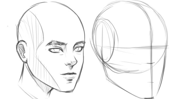 Эскиз головы