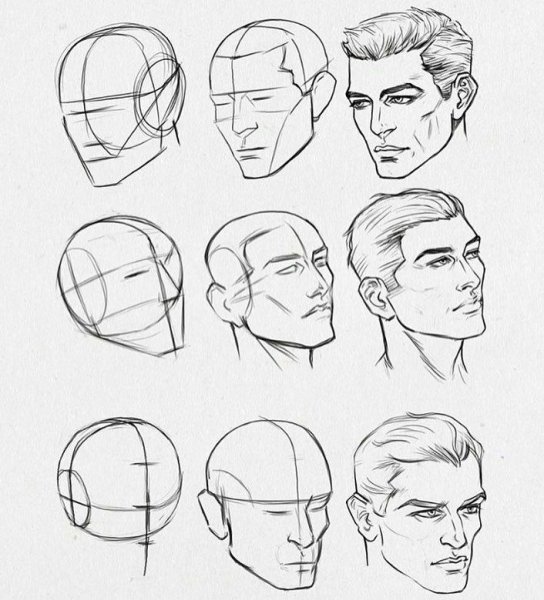 Профиль сбоку референс