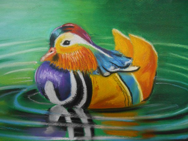 Утка-Мандаринка пастель сухая