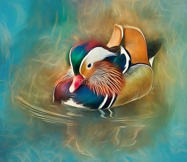 Утка Мандаринка арт