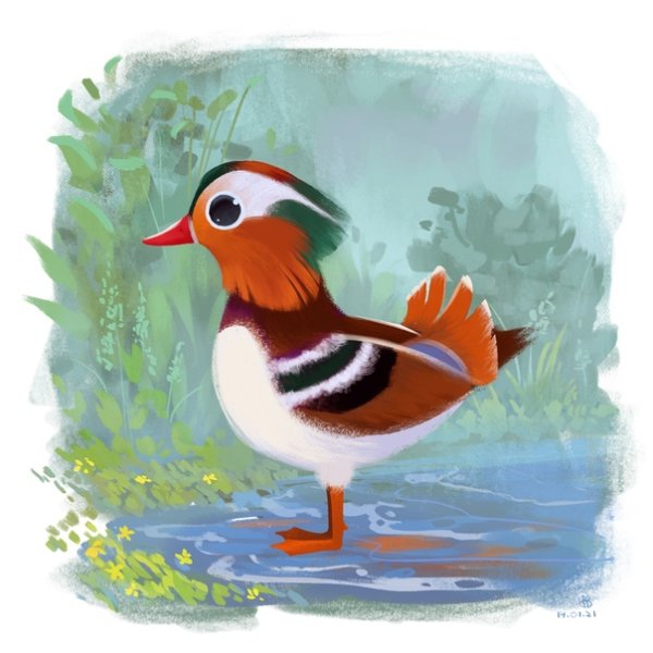 Рисунок утки мандаринки