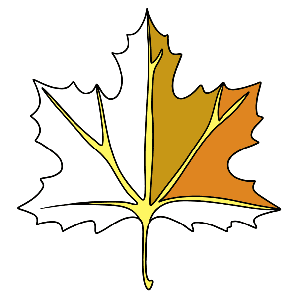 Лист клёна рисунок