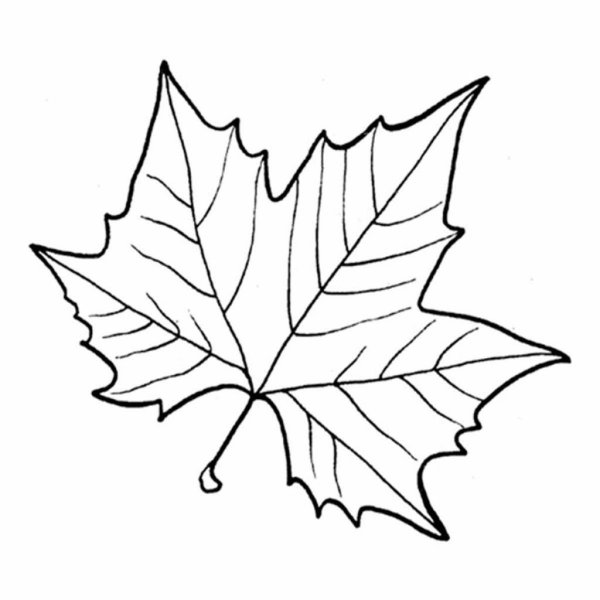 Разукрашка кленовый листик
