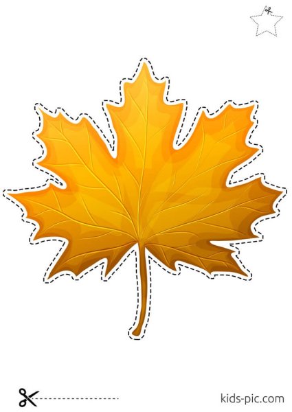 Поэтапный рисунок листа клена