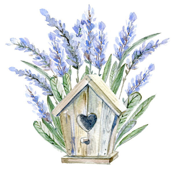 Лаванда акварель