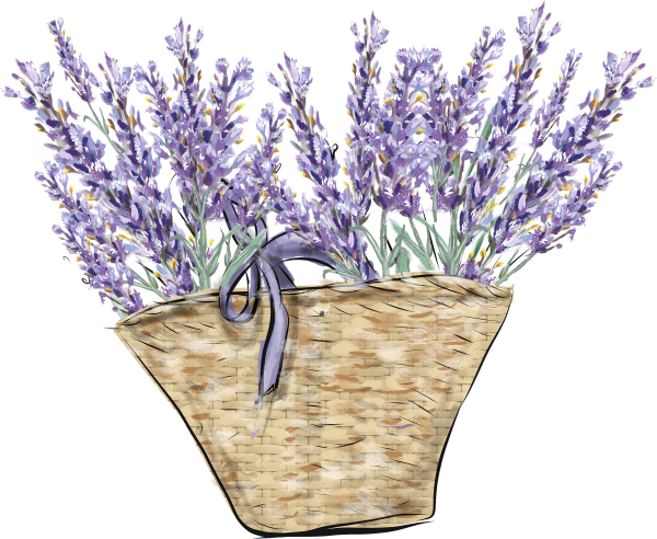 Лаванда в горшке акварель