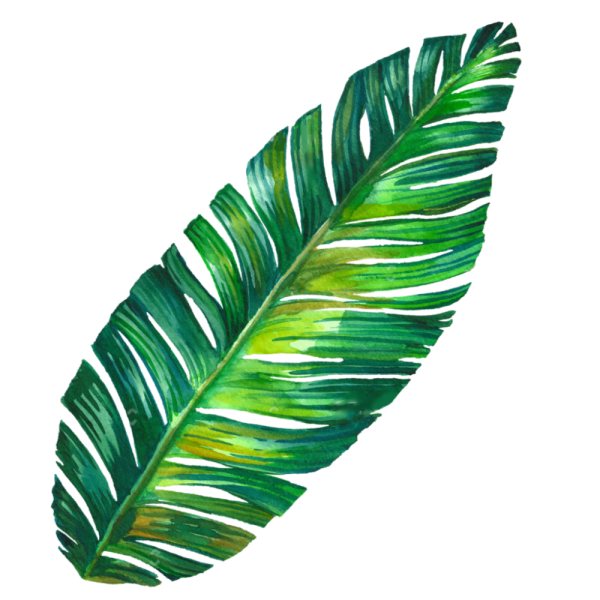 Тропический листок
