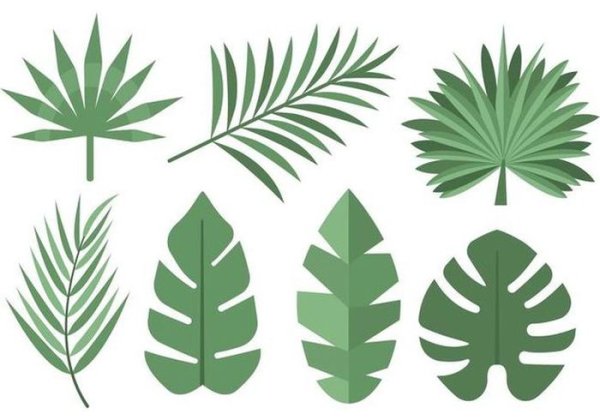 Тропические листья орнамент