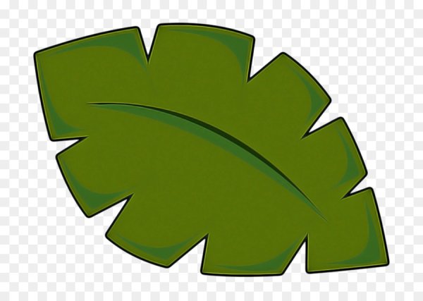 Пальма сабаль лист