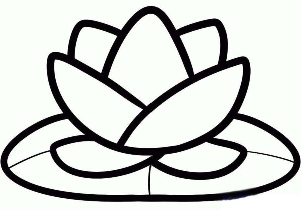 Кувшинка референс