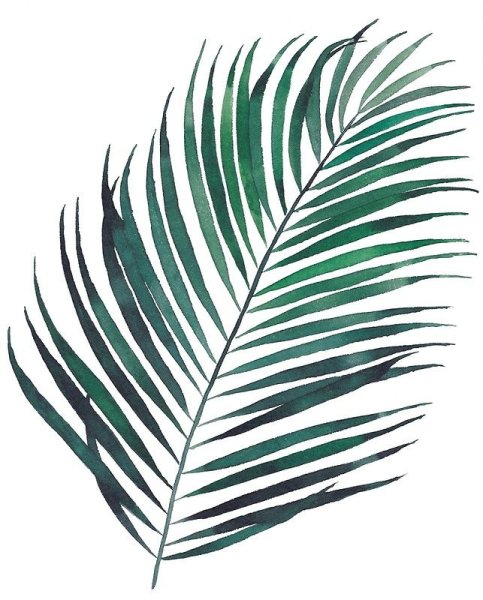 Трафарет листьев цветов