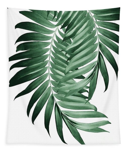 Трафарет листьев пальмы