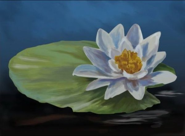 Нарисовать Лотос орехоносный