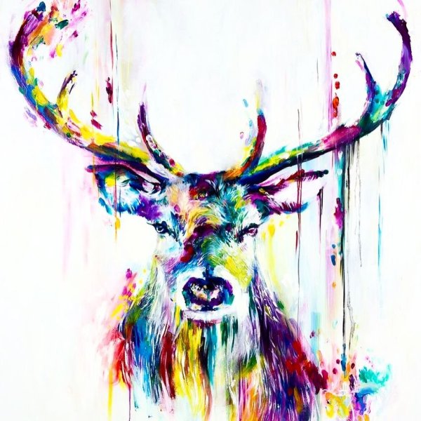 Художник Lindsay Rapp