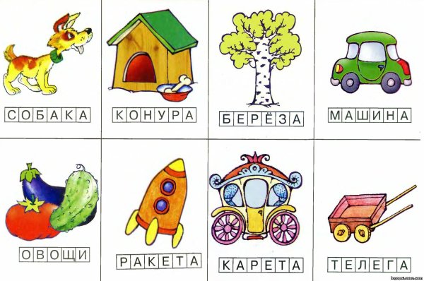 Карточки со сливами для детей