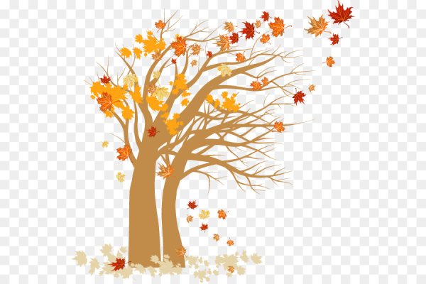 Осеннее дерево