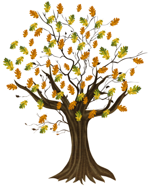 Осеннее дерево на прозрачном фоне