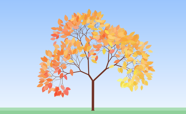 Рисование ватными палочками