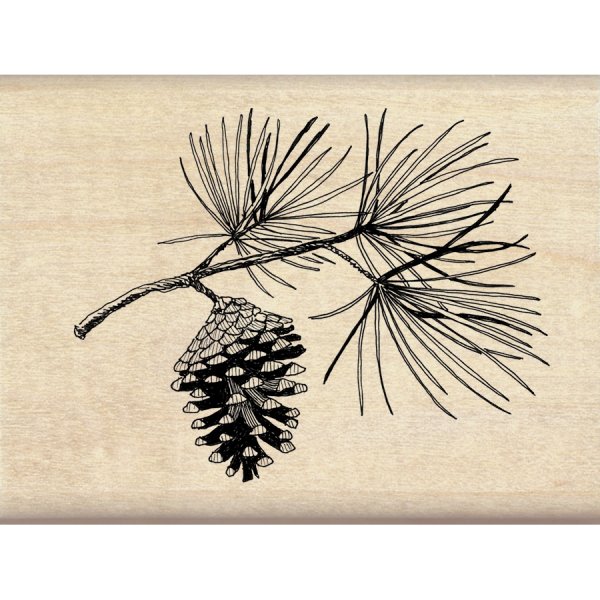 Рисование шишки на ветке