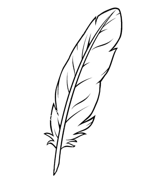 Перо раскраска для детей