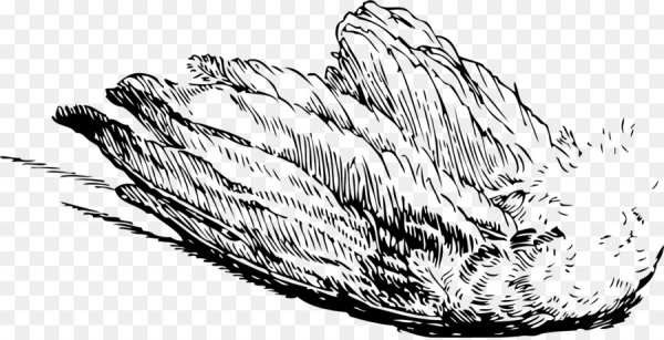 Куриные перья