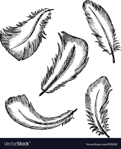 Гусиное перо раскраска