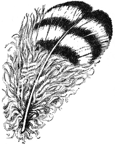 Перо монохром