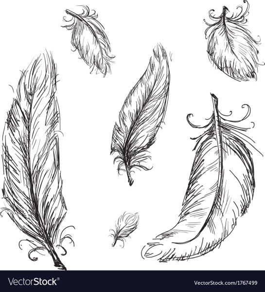 Перо для рисования